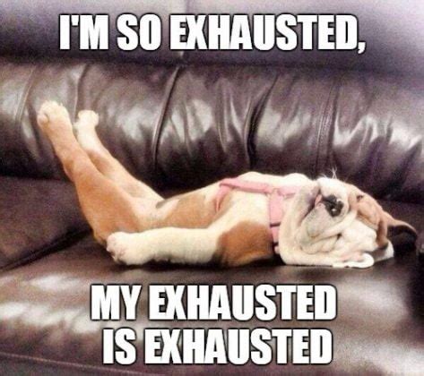 exhaustipated meme|These Exhausted Memes Will Make You Laugh Your Head Off!.